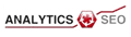Analytics SEO