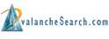 Avalanche Networks
