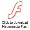 click to download Macromedia Flash