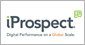 Brand Marketers' Woes - Healing the Top Pain Points for Success in '11